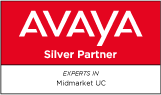  Avaya Silver Partner